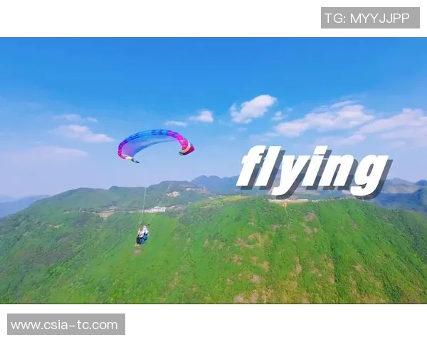 杭州极限运动队力量对比深度解析与团队发展趋势探讨